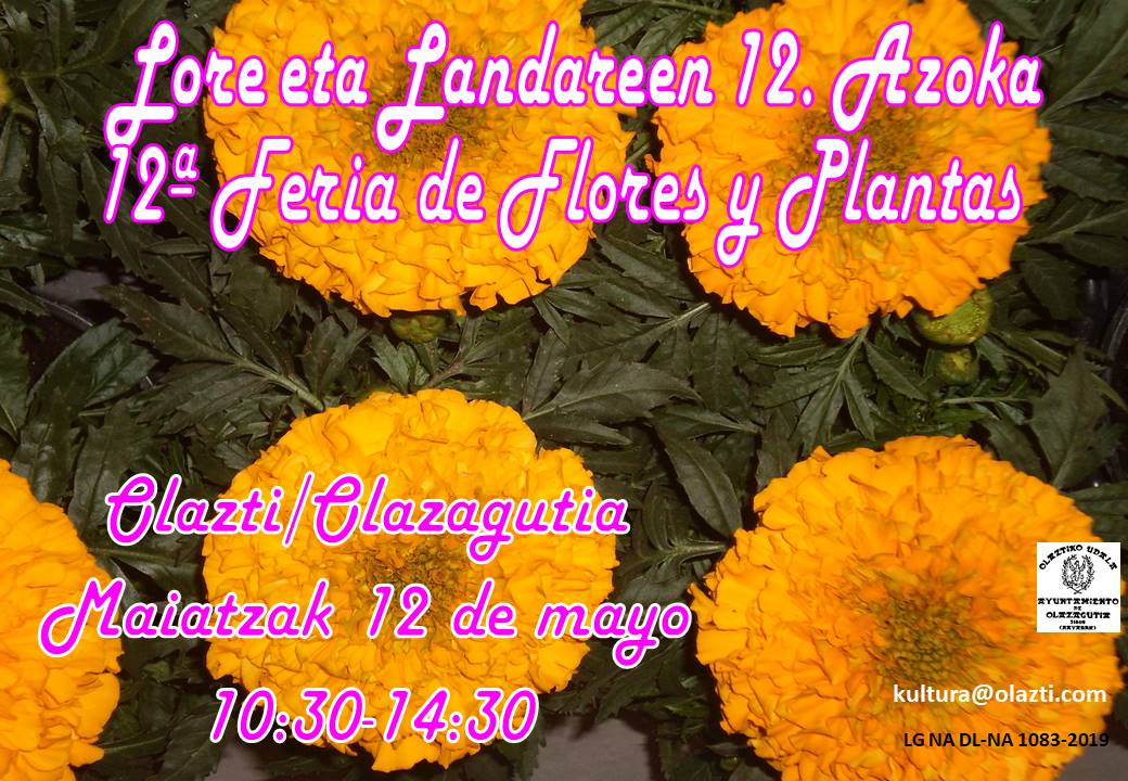 Foto evento