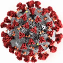 MEDIDAS MUNICIPALES PARA LA CONTENCIÓN DE LA EVOLUCIÓN DEL CORONAVIRUS MEDIDAS MUNICIPALES PARA LA CONTENCIÓN DE LA EVOLUCIÓN DEL CORONAVIRUS