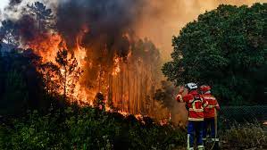 FORMACIÓN EN AUTOPROTECCIÓN ANTE RIESGO DE INCENDIOS FORESTALES