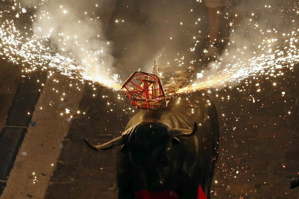 BANDO: TORO DE FUEGO BANDO: TORO DE FUEGO
